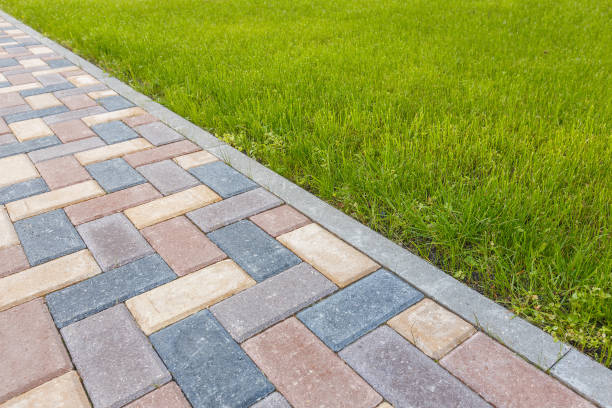 Best Local Driveway Pavers  in Lolo, MT